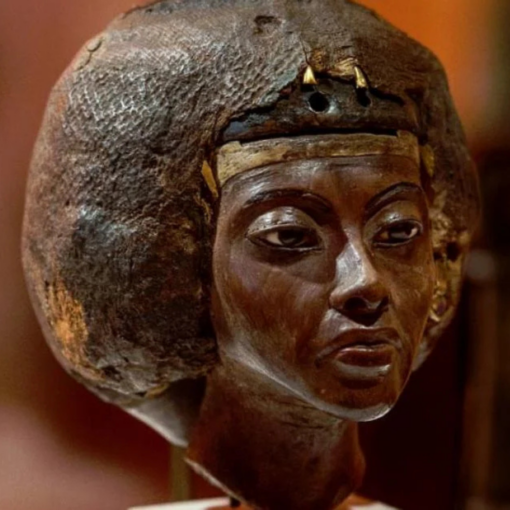 Queen Tiye - الملكه تي - Image 3